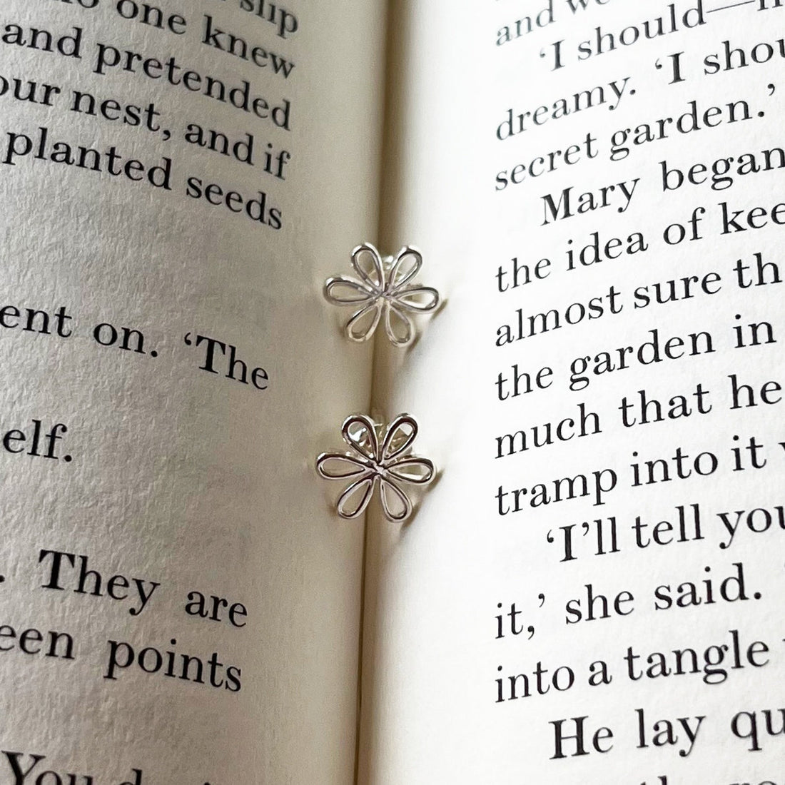 The Secret Garden - &